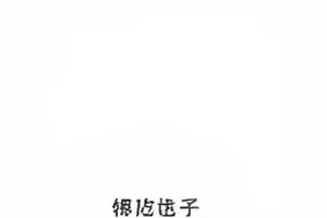 《角色名的方言梗》封面，字块拼贴